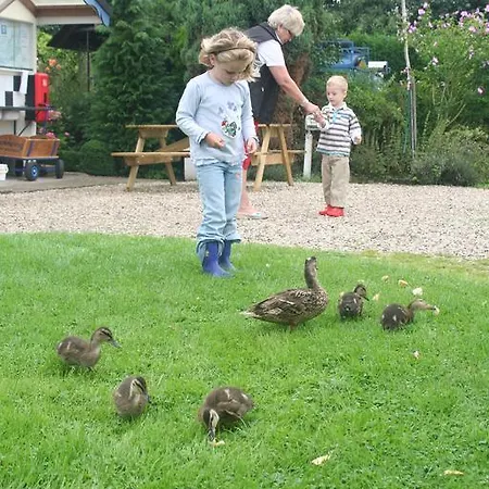 Prázdninový dům De Grienduil