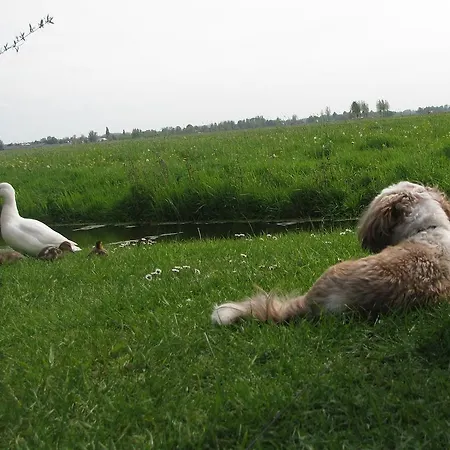 De Grienduil Prázdninový dům *