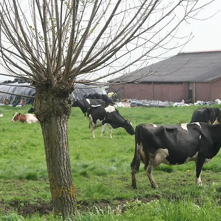 Camping De Grienduil *