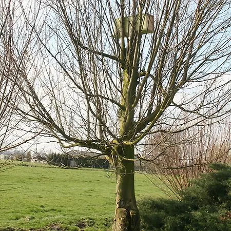 Camping De Grienduil Hébergement de vacances Nieuwland (Vijfheerenlanden)