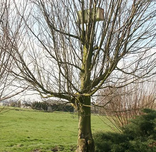 De Grienduil Dom wakacyjny Nieuwland (Vijfheerenlanden)