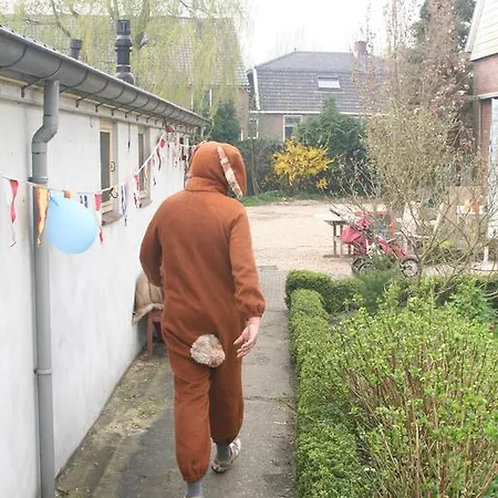 キャンピング デ フリンデイル 別荘 Nieuwland