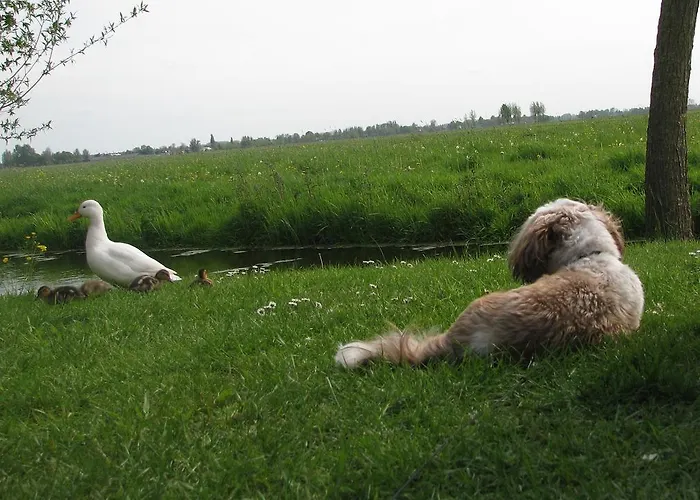 De Grienduil Casa vacanze *