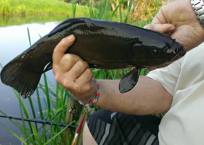 De Grienduil Casa vacanze *